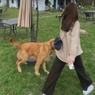 白手掌